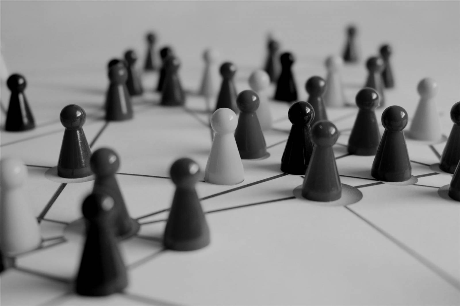 Netzwerkbildung und Partnerschaften