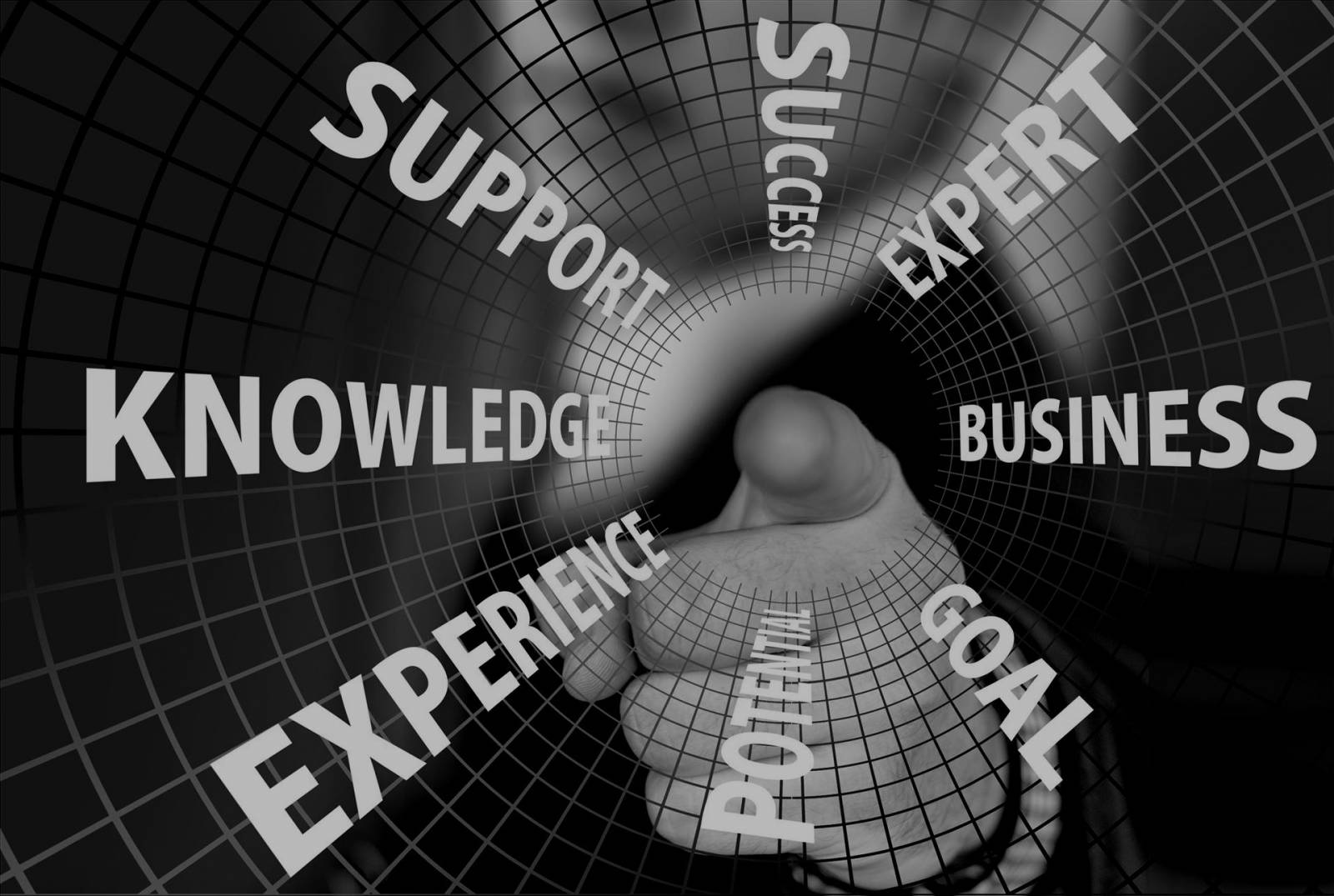 ENTSTEHUNG NEUER BERUFSFELDER IN DER MUSIKINDUSTRIE